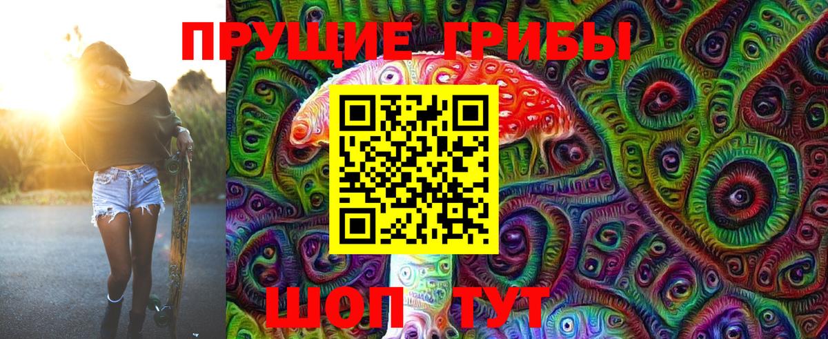Псилоцибиновые грибы мухоморы Тамбов